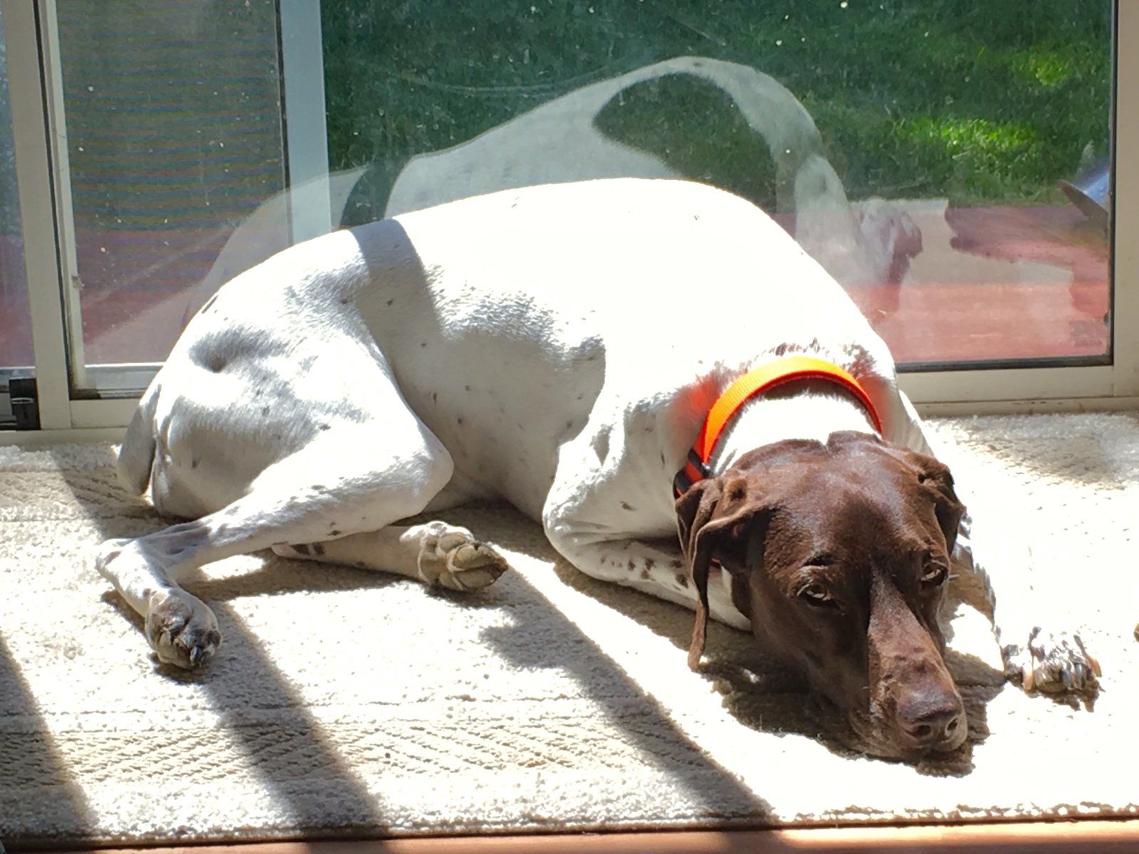 Photo Jul 01, 3 18 12 PM.jpg