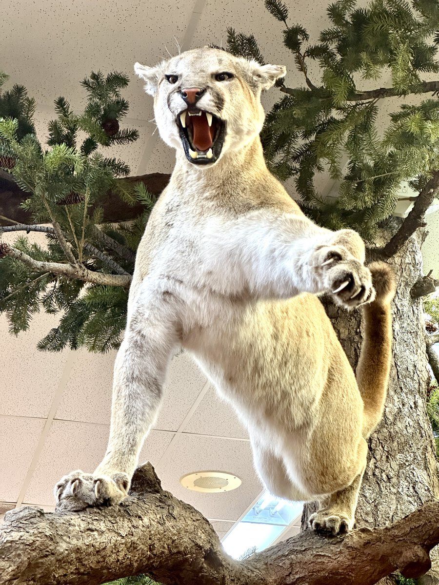 photo may 02 2023, 9 36 35 am.jpeg