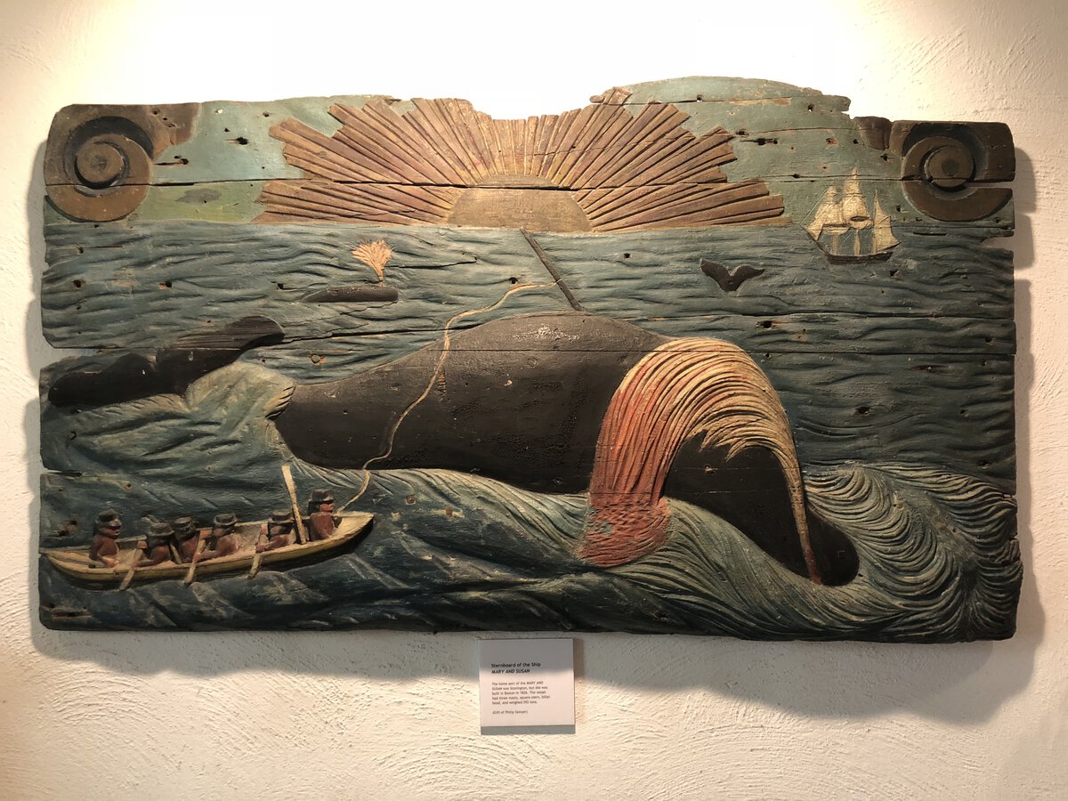 photo sep 07, 1 34 51 pm.jpeg