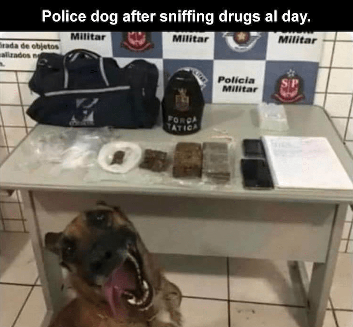 Police dog.png