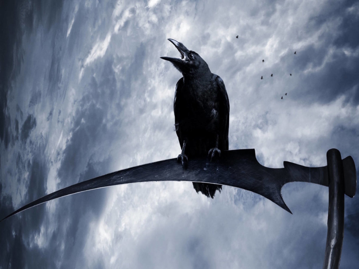 psychopomp-raven-wallpaper.jpg