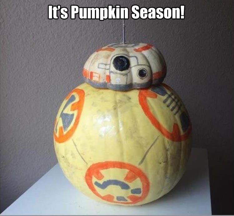 Pumpkin-funny-pictures.jpg