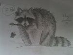 raccoon__with_paintbrush__by_spiralwolfheart-d47ht4b.jpg