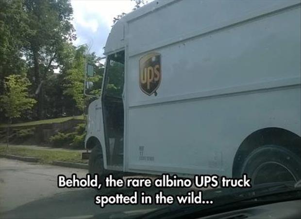 rare-ups-truck.jpg
