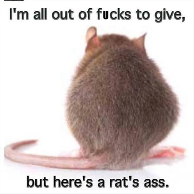 rats-ass.jpg