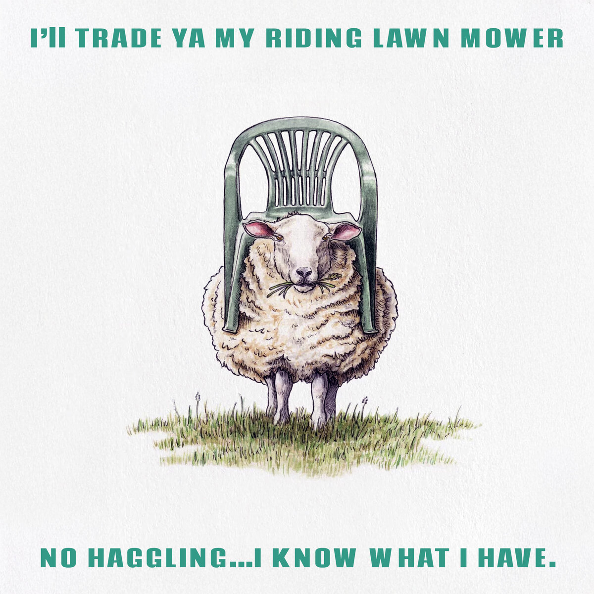 Riding Lawnmower 001.jpg