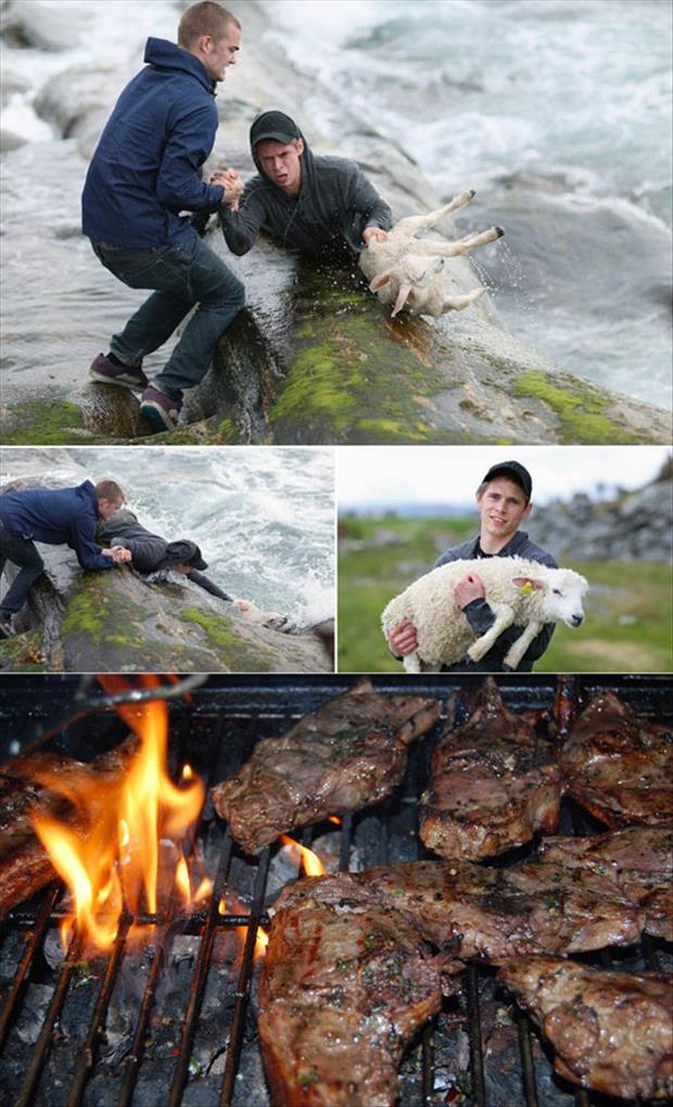 saving-and-then-eating-a-lamb.jpg