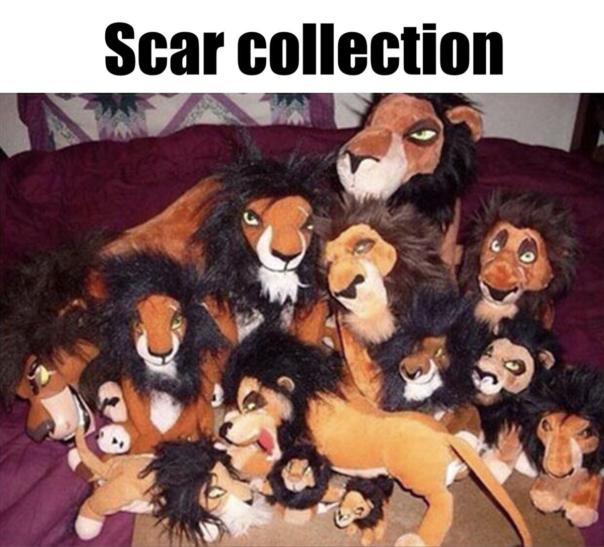 Scar collection.jpg