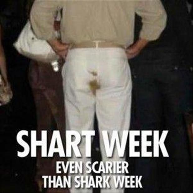 shark-week-funny-pictures.jpg