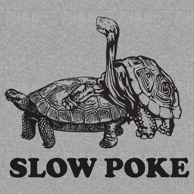 slow-poke.jpg