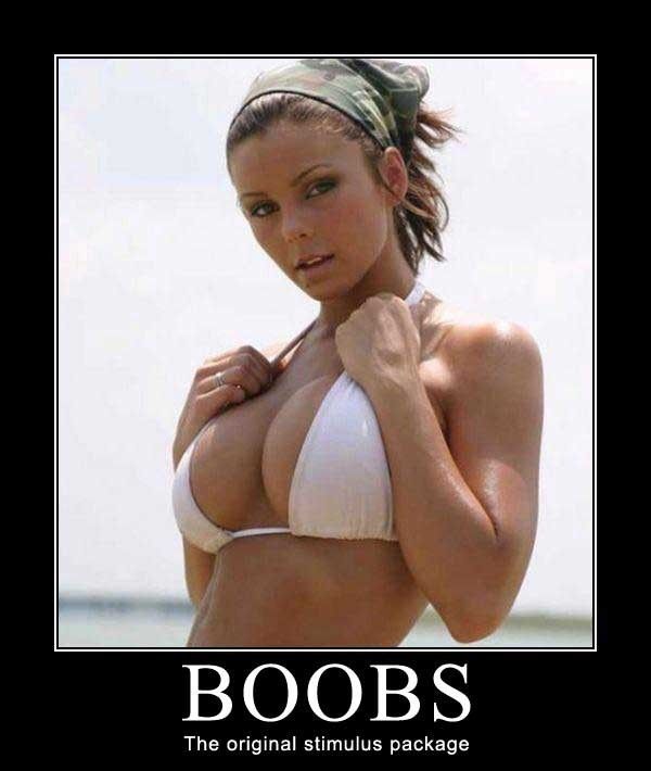 stimulus.jpg