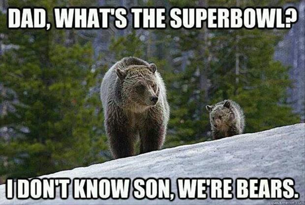 superbowl-funny-pictures1.jpg