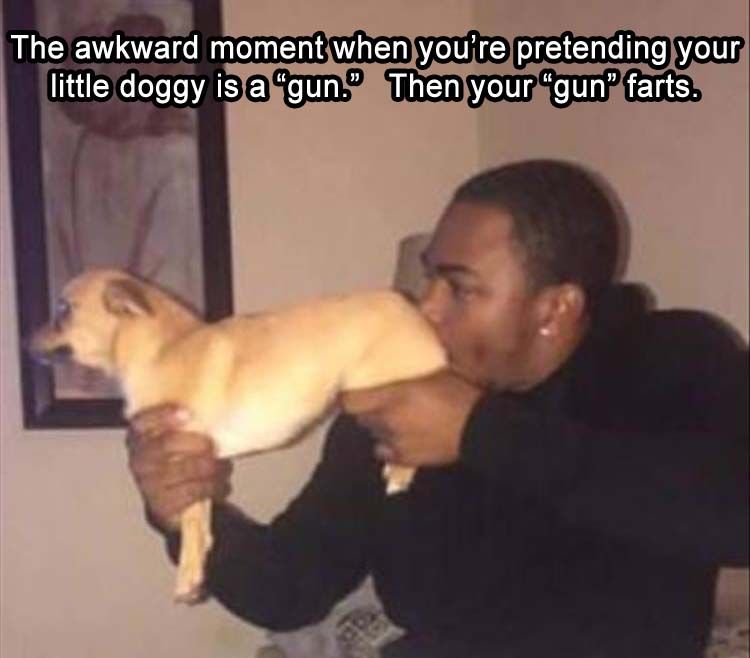 the-awkward-moment-when-youre-pretending-your-dog-is-a-gun-and-your-gun-suddenly-backfires.jpg