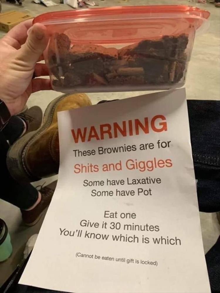 the-brownies.jpg