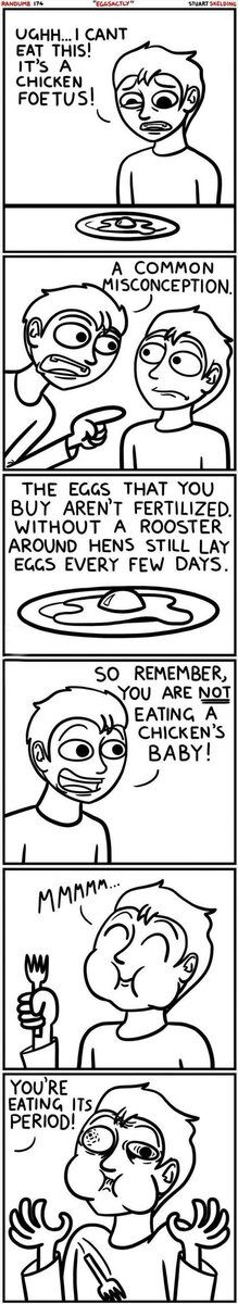 the-chicken-laid-an-egg-funny-pictures.jpg
