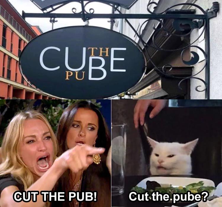the-cube-or-something-else-cat-meme.jpg