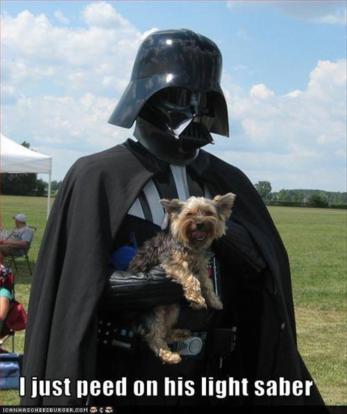 the-dog-peed-on-vader.jpg