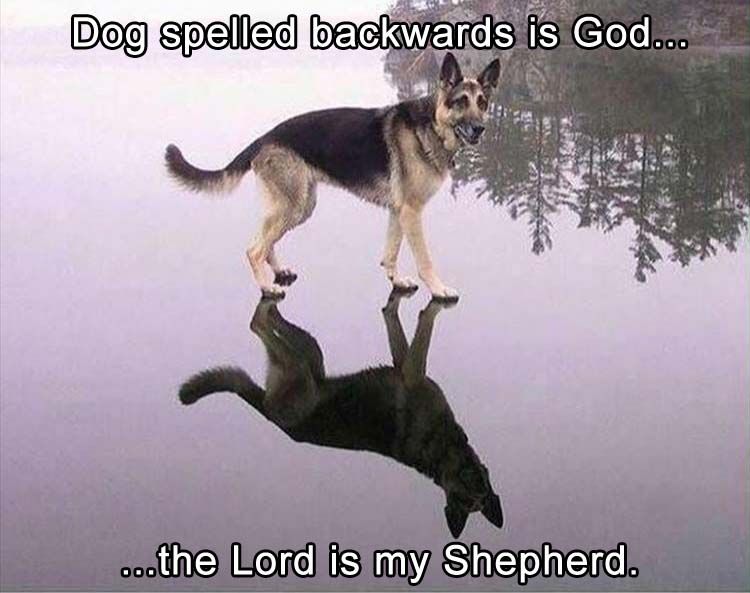 the-lord-is-my-shepard.jpg