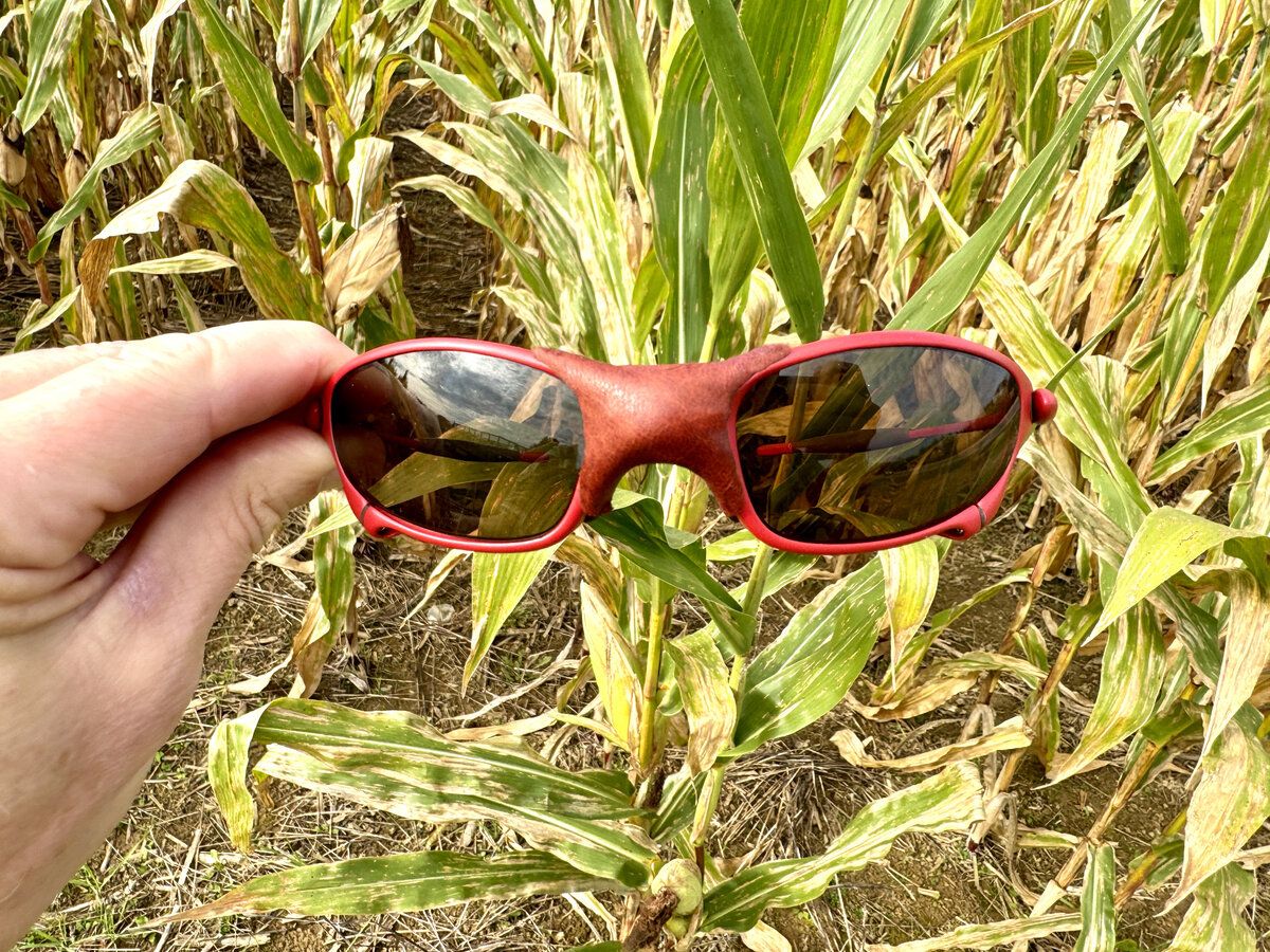 The X-Man - Blood Red Juliet 006.jpg