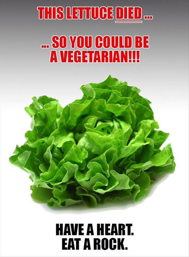 this-lettuce-died-for-you.jpg