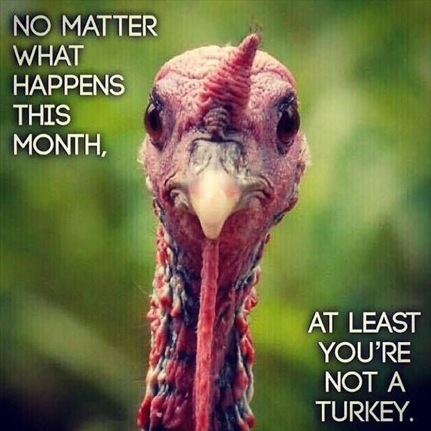 turkey-jokes.jpg