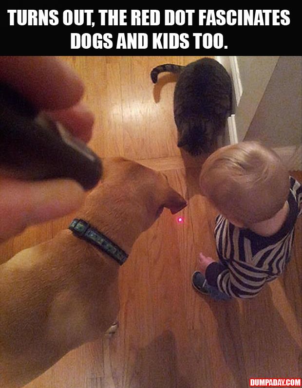 turns-out-it-works-on-dogs-and-kids-too.jpg