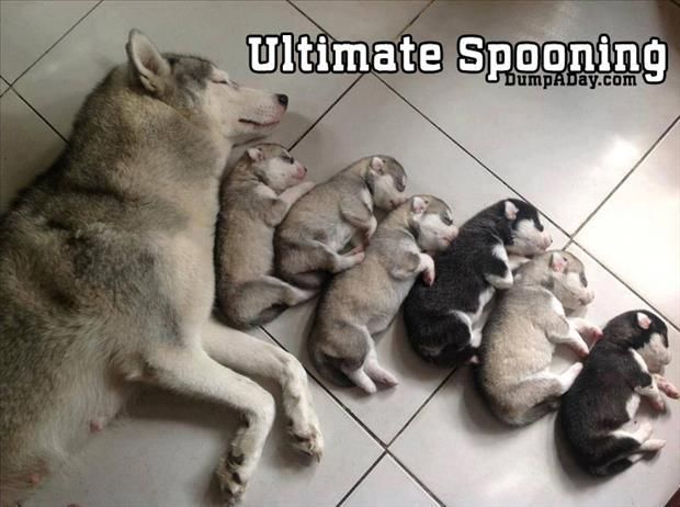 ultimate-spooning.jpg