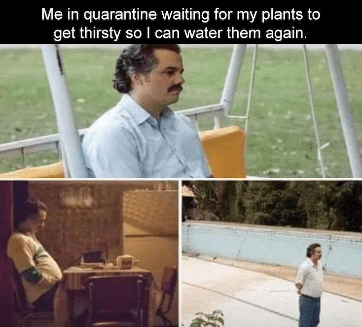 Waiting to water plants.png