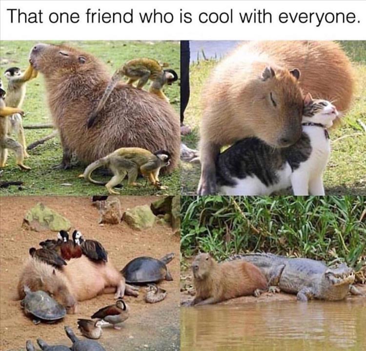 we-all-have-that-one-friend.jpg