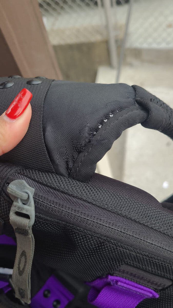 WhatsApp Image 2024-09-23 at 8.08.03 PM (1).jpeg