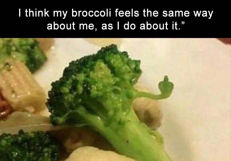 when-Im-not-even-mad-I-dont-like-broccoli-either.jpg