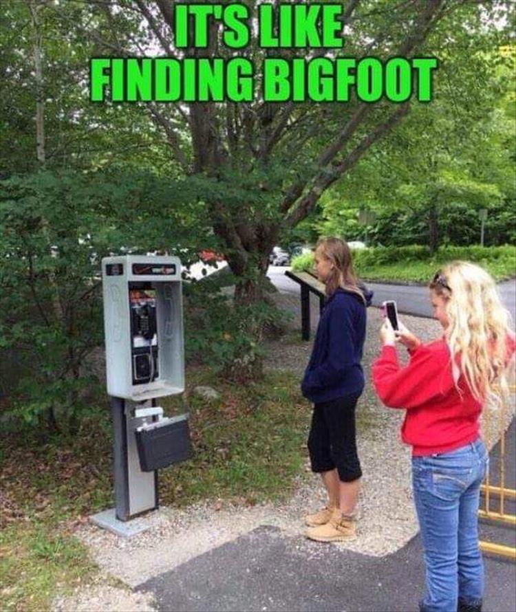 when-you-find-bigfoot.jpg