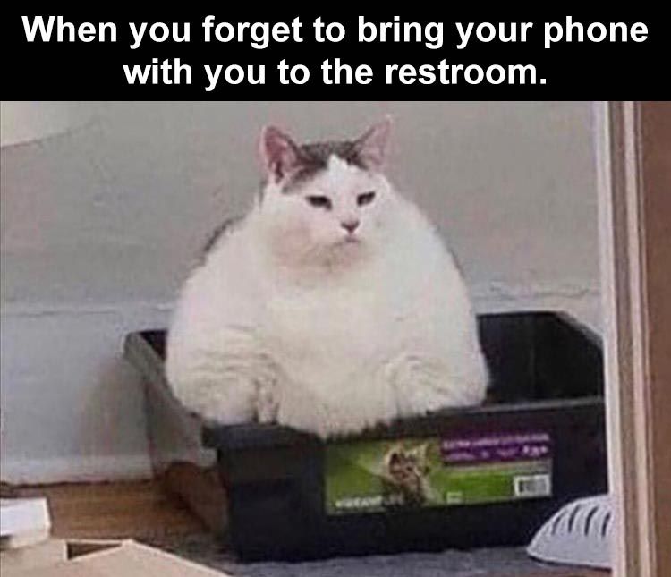 when-you-forget-to-bring-your-phone-with-you-to-the-restroom.jpg