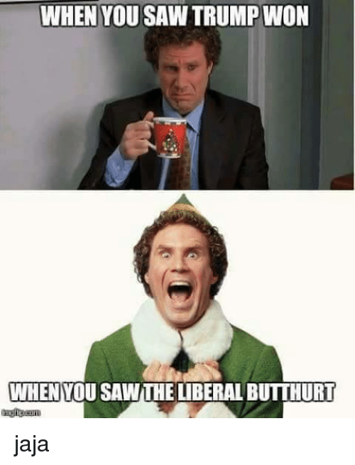 when-you-saw-trump-won-when-you-sawthe-liberal-butthurt-7094509.png