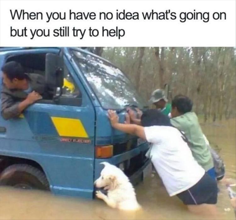 when-youre-just-trying-to-help.jpg