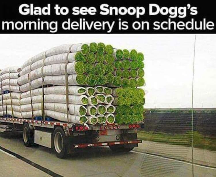 when-youre-snoop-dog.jpg