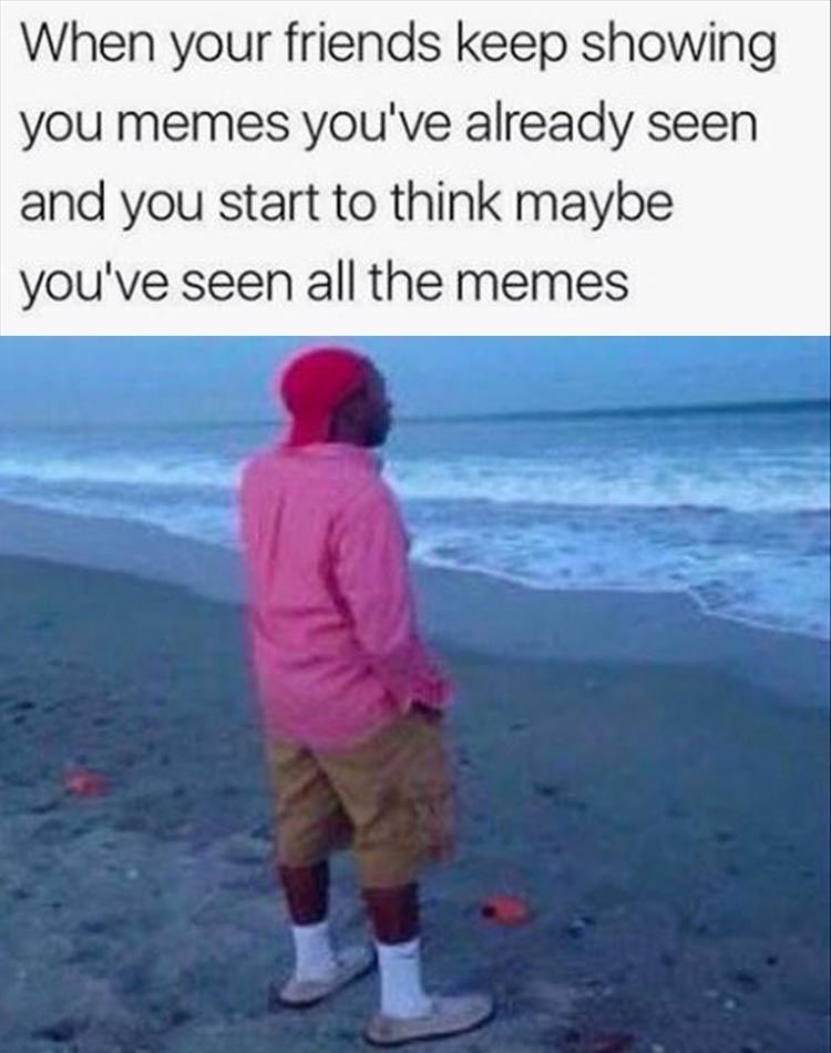 when-youve-seen-all-the-memes.jpg