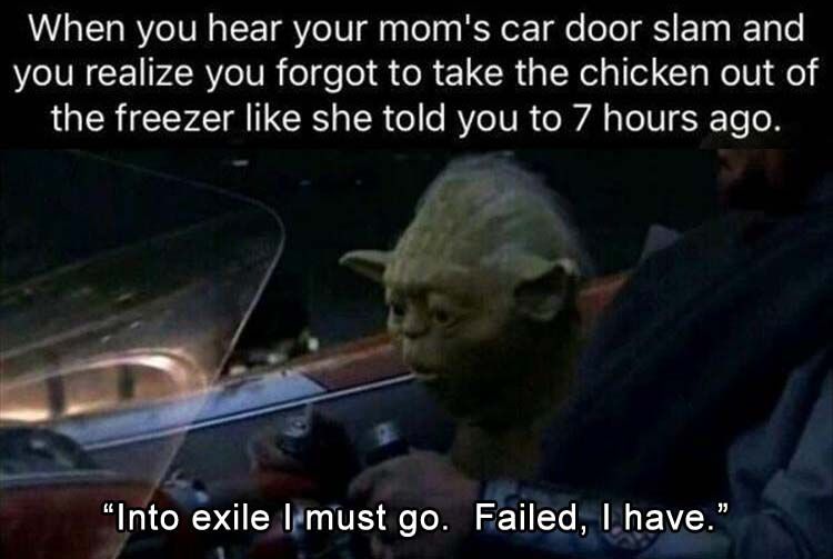 yoda.jpg
