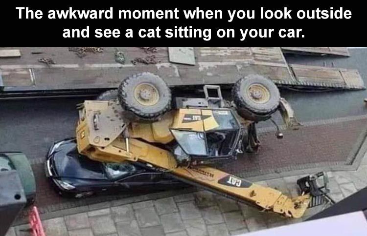 you-awkward-moment-when-you-look-out-the-window-and-you-see-a-cat-sitting-on-your-car-1.jpg