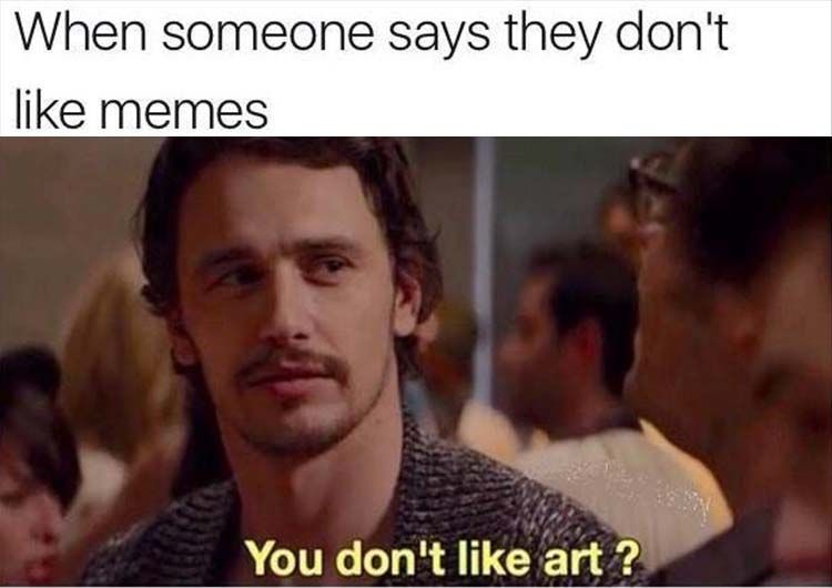 you-dont-like-memes.jpg