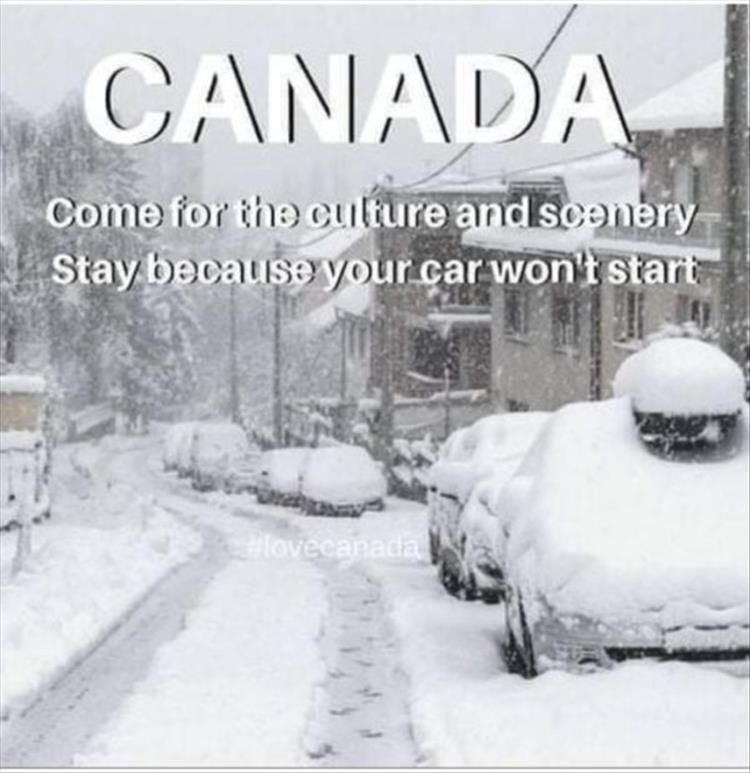 you-go-to-canada.jpg