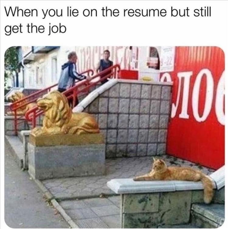 you-lie-on-your-resume.jpg