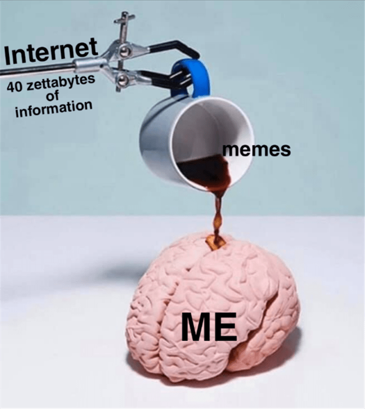 you-like-the-memes.png