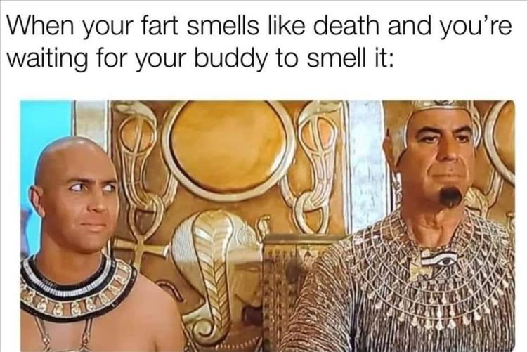 you-smell-it.jpg