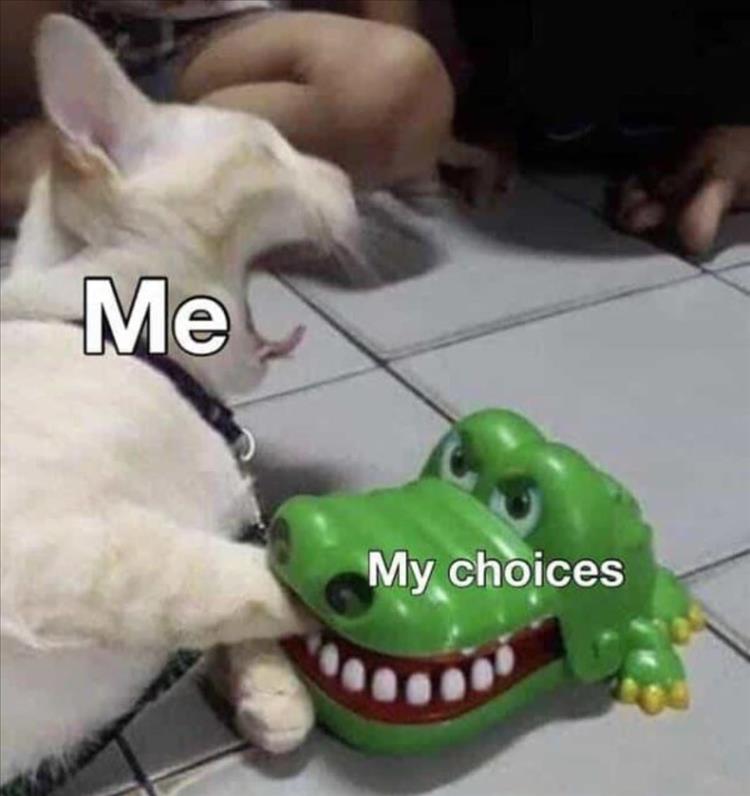 you-want-choices-memes.jpg