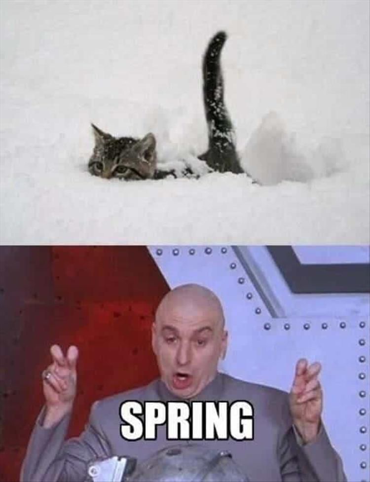your-spring.jpg