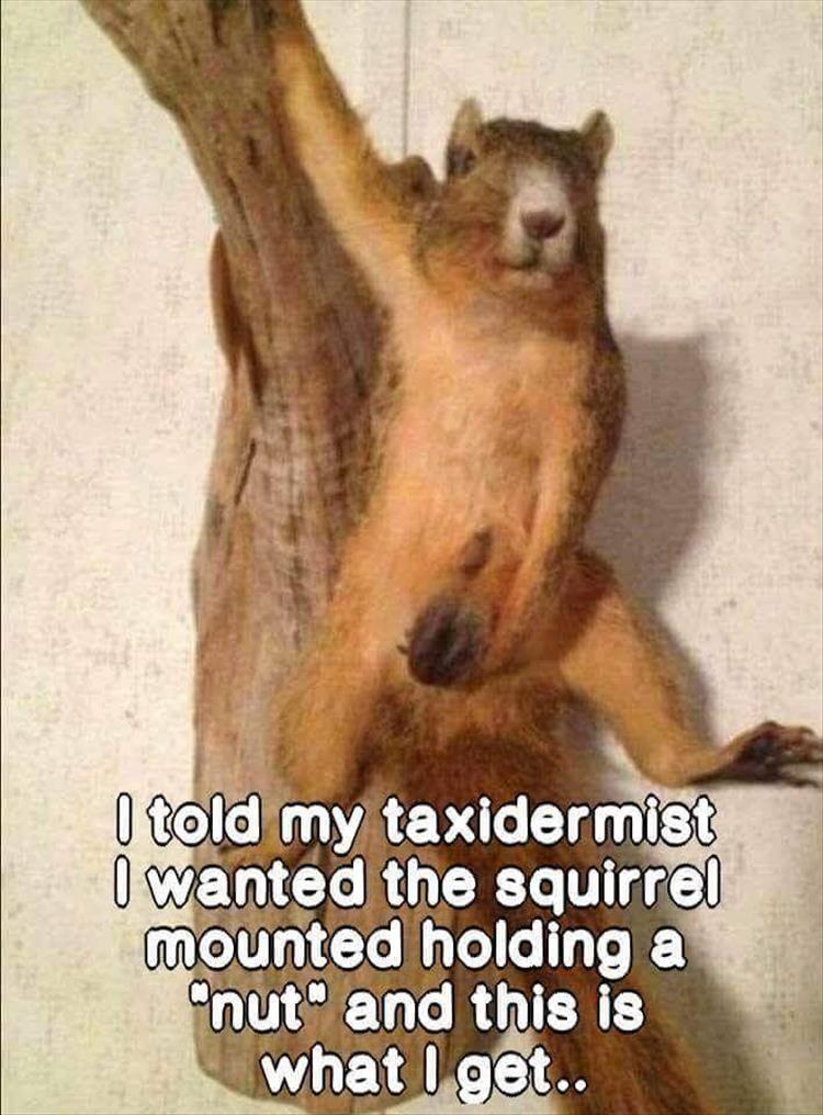 your-taxidermy.jpg