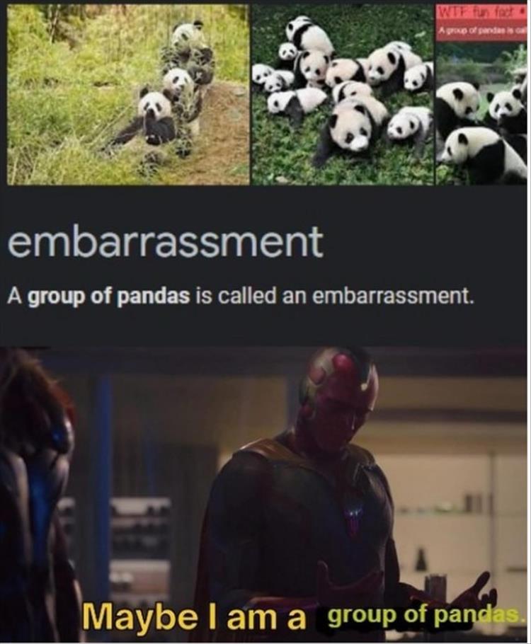 youre-pandas.jpg