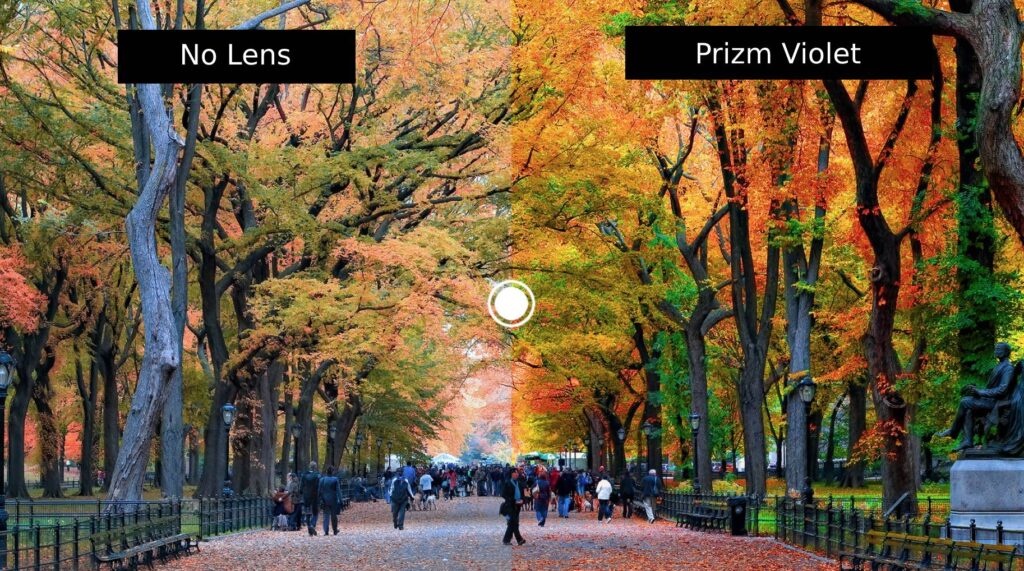 Prizm Violet Lens Comparison