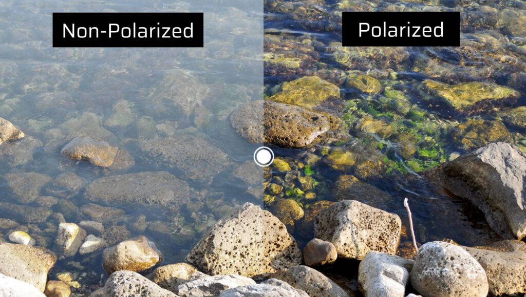 Polarized vs. Non-Polarized Lenses
